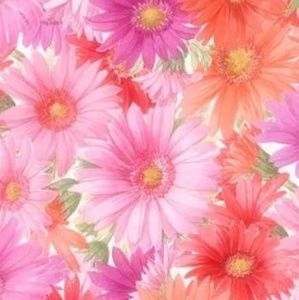 Meet your Posher, Lorrae